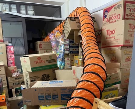 Đầu Tư Nhỏ, Lợi Ích Lớn: Cặp Đôi Giúp Chống Ẩm Mốc, Bảo Vệ Hàng Hóa