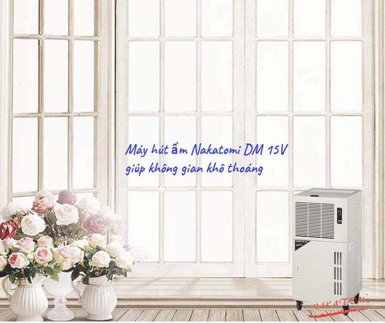 Thời tiết nồm ẩm có ảnh hưởng tới đời sống không ?