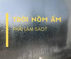 Địa chỉ mua máy hút ẩm trong tiết trời mưa phùn, nồm ẩm? 