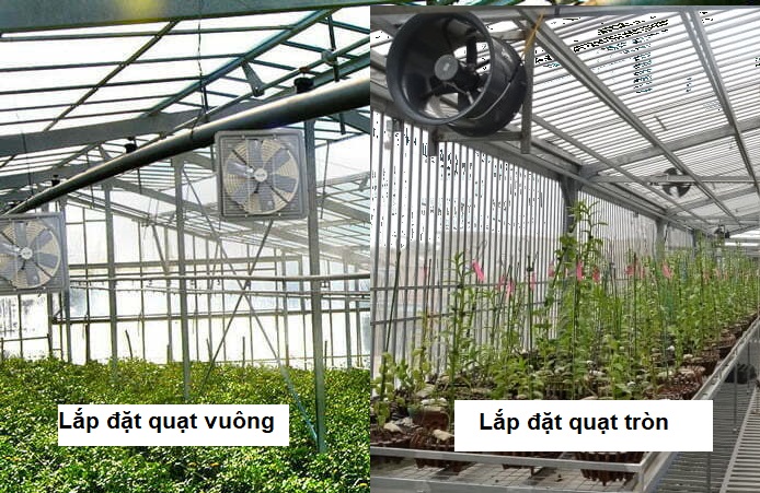{tư vấn} lắp đặt quạt thông gió cho hệ thống nhà vườn