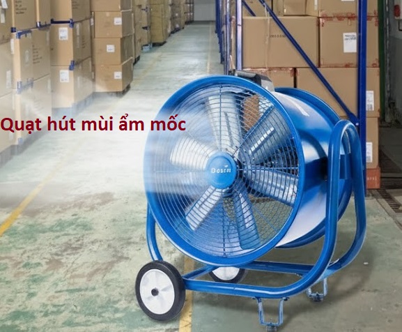 Kin 500 : Quạt Hút Làm Khô Xưởng và Bảo Vệ Tài Sản Sau Lũ.
