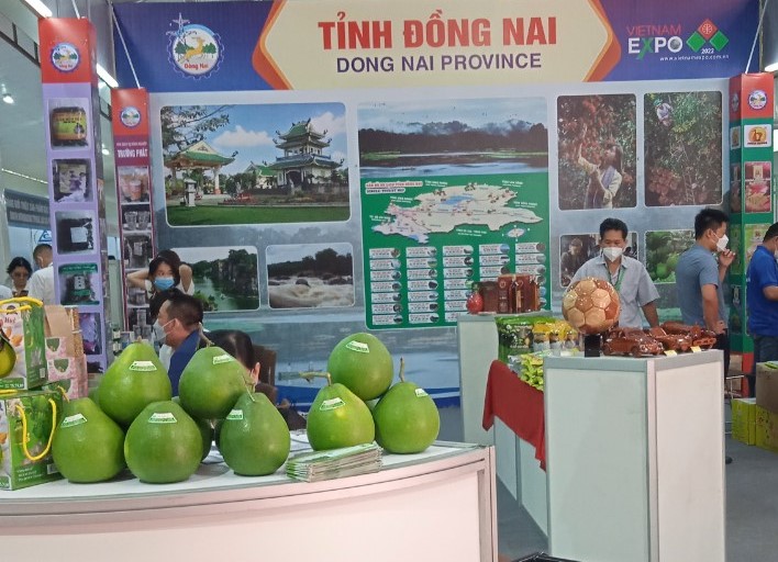 đồng nai 
