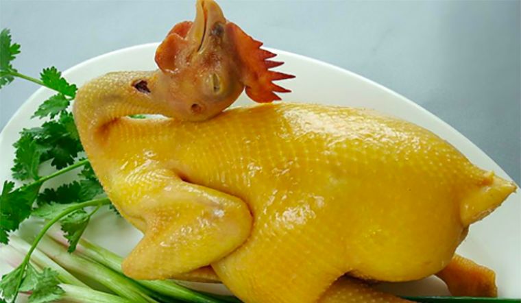 gà luộc 