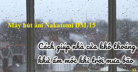Máy hút ẩm giúp cân bằng độ ẩm không khí 