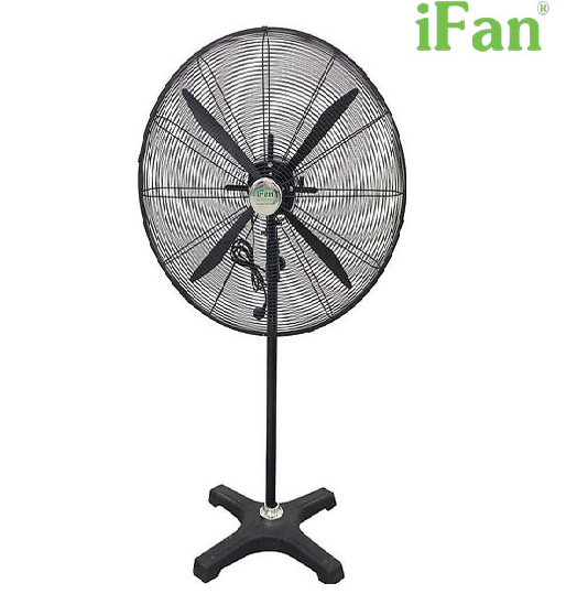 ifan