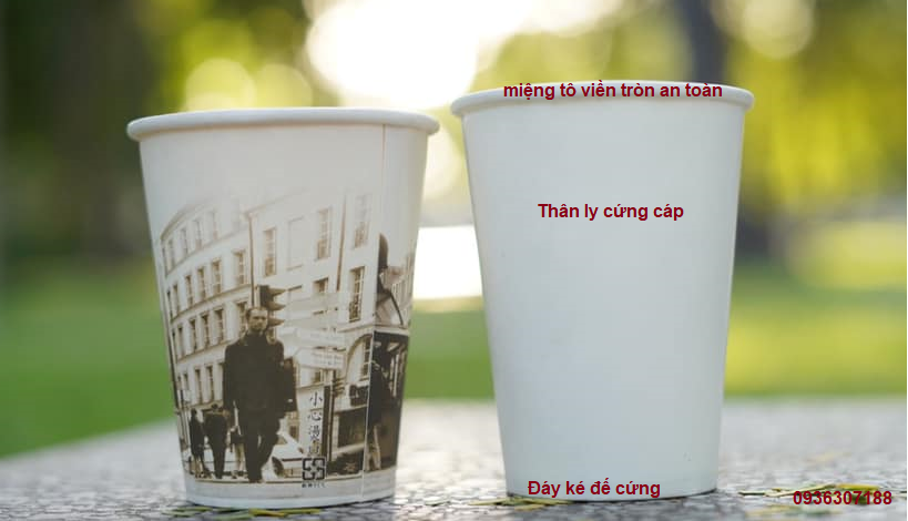 tô giấy 