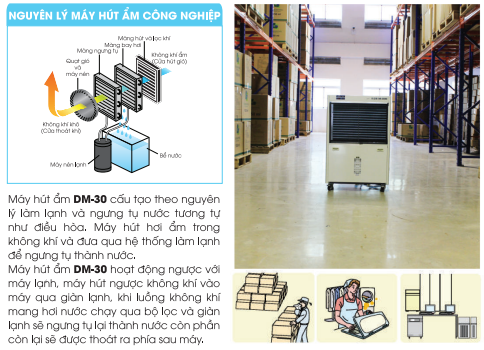 Máy hút ẩm khô không khí 