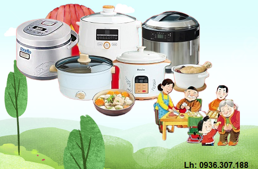 nồi điện lòng sứ dasin 