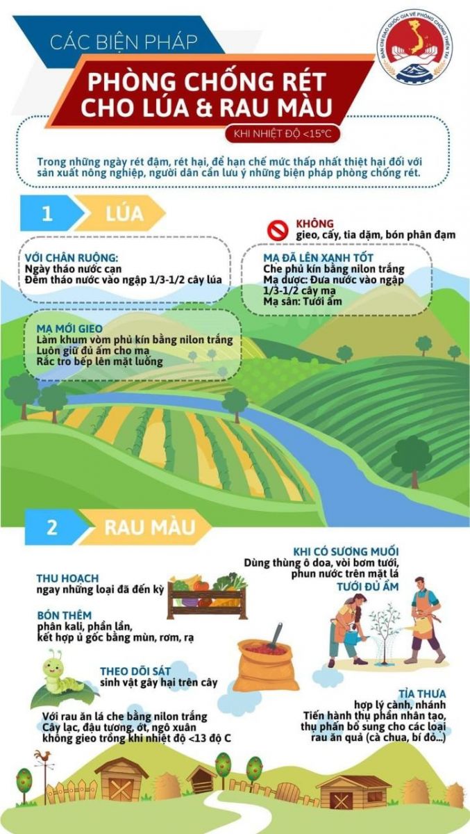 chống rét cho cây trồng 