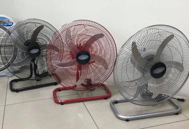 Quạt sàn gia đình 2050