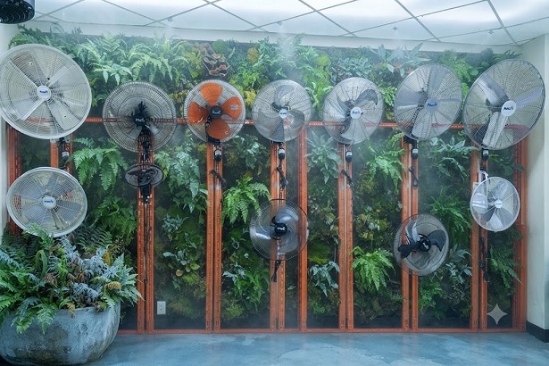 quạt treo tường dasin 