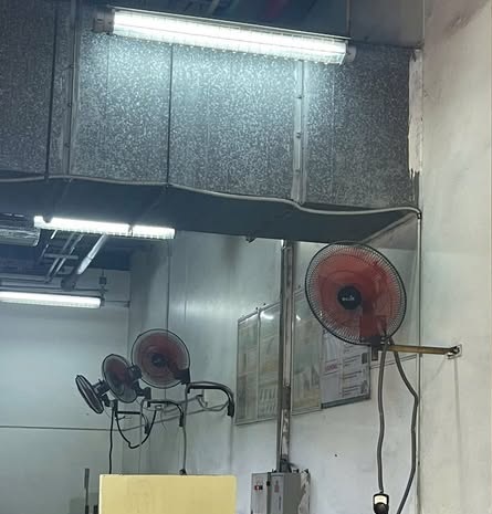 quạt treo tường thiết thực