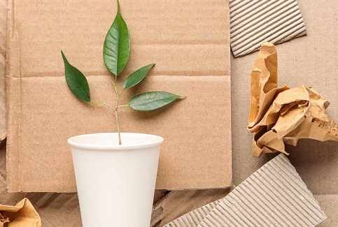 tái chế cốc giấy 